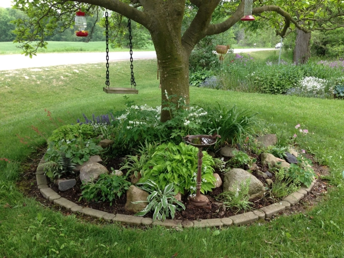 How To Landscaping Around A Magnolia Tree scaled