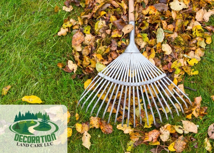 Lawn Care Services Durham Nc